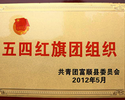 五四红旗团组织