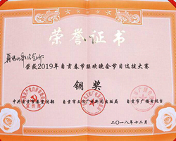 2019春晚节目选拔大赛