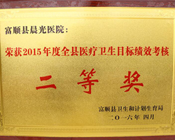 2015医疗卫生目标绩效考核二等奖
