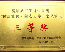 卫生计生系统文艺演出三等奖